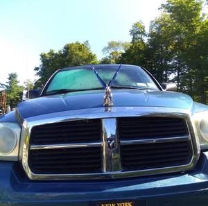 Meet your Posher, Carl